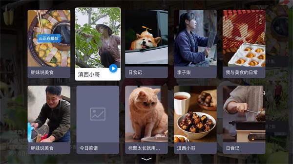 电视家酒店版绿化版图4