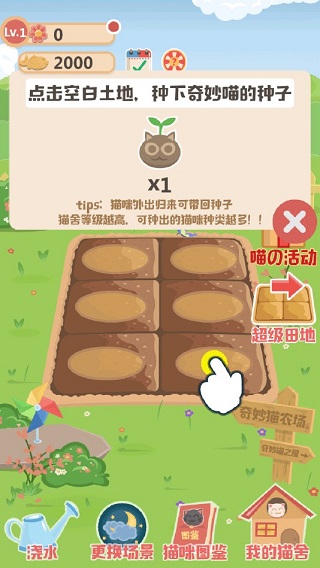 奇妙猫之家游戏最新中文版