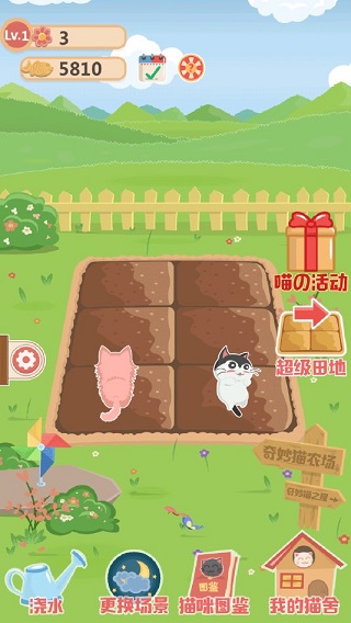 奇妙猫之家游戏最新中文版