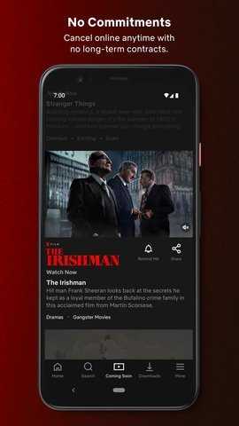 Netflix中文版图1