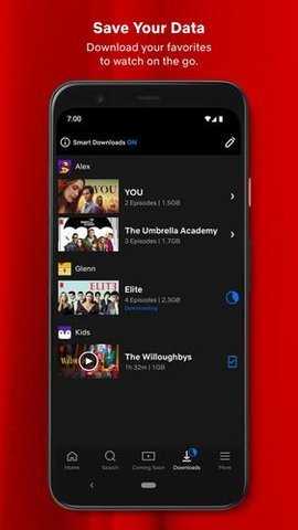 Netflix中文版图2