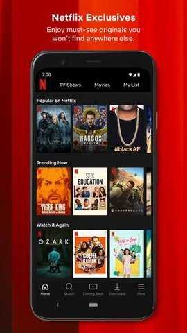 Netflix中文版图3