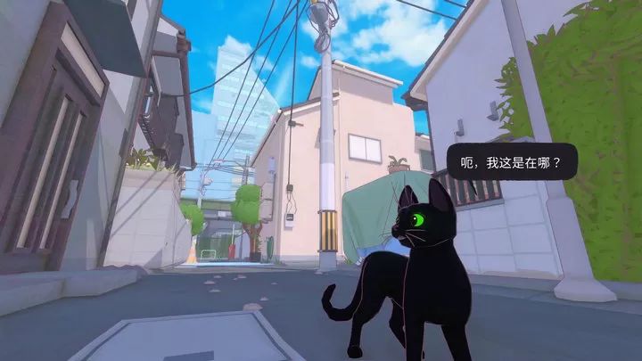 小猫咪大城市 无实名认证图2