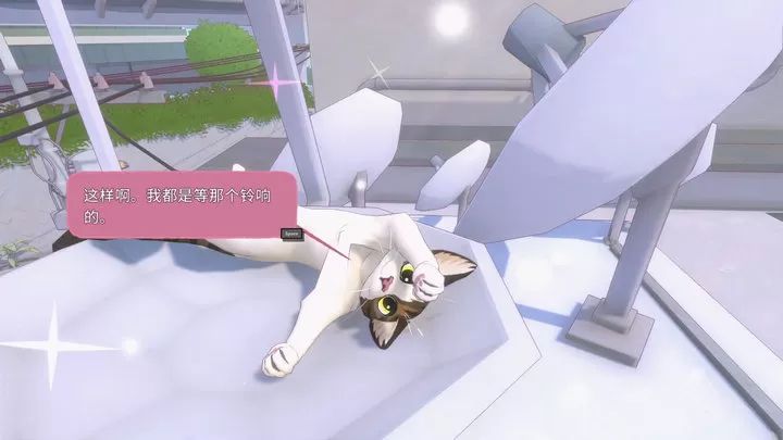 小猫咪大城市 无实名认证图4