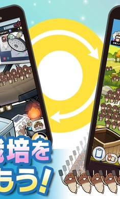 菇菇栽培研究室图1