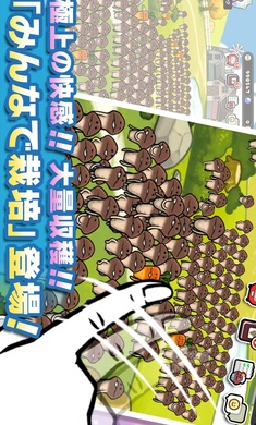 菇菇栽培研究室图3