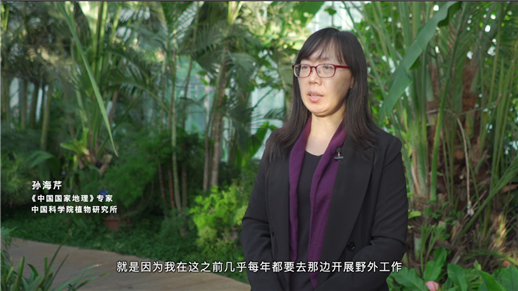 东方奇幻之美 原神携手黄龙发布联动纪录片