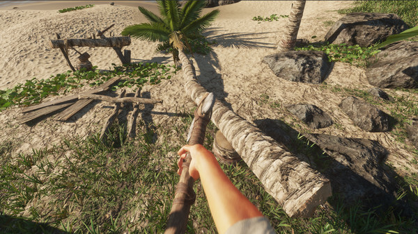荒岛求生2(Survival Island The Forest 3D)图3